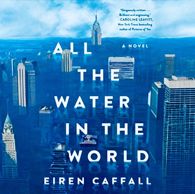 All the Water in the World: A Novel by Eiren Caffall, Hardcover