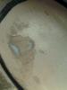 User submitted photo