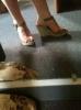User submitted photo