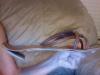 User submitted photo