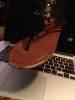 User submitted photo