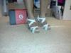 User submitted photo