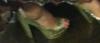 User submitted photo