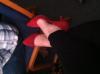 User submitted photo