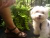 User submitted photo