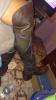 User submitted photo
