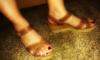 User submitted photo