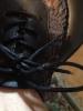 User submitted photo
