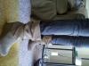 User submitted photo