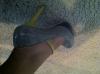 User submitted photo