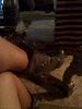 User submitted photo