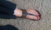 User submitted photo