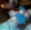 User submitted photo