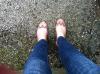 User submitted photo