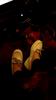 User submitted photo