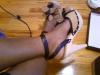 User submitted photo