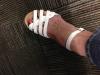 User submitted photo