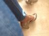 User submitted photo
