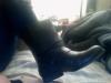 User submitted photo