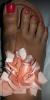 User submitted photo