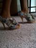 User submitted photo
