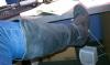 User submitted photo