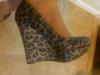User submitted photo