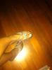 User submitted photo