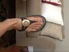 User submitted photo
