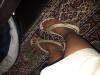 User submitted photo