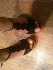 User submitted photo