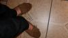 User submitted photo