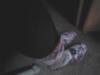 User submitted photo