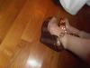 User submitted photo