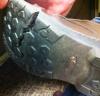 User submitted photo