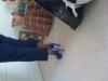 User submitted photo