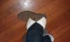 User submitted photo