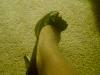 User submitted photo