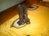 User submitted photo