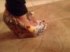 User submitted photo