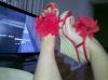 User submitted photo