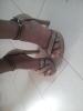 User submitted photo