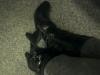 User submitted photo