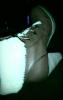 User submitted photo