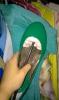 User submitted photo