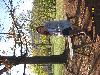 User submitted photo