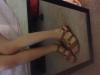 User submitted photo