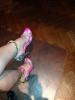 User submitted photo