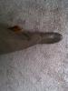 User submitted photo