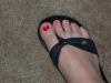 User submitted photo
